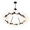 Cwi Lighting Arya 45 Light Chandelier With Black Finish 1020P39-45-101 - alternate 5
